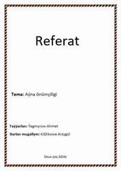 Referat, Aýna önümçiligi, Ýagmyrow A., 2024