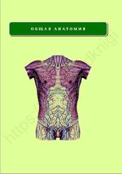 Анатомия по Пирогову, Том 3, Раздел 5-6, Шилкин В.В., Филимонов В.И., 2011