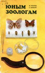 Юным зоологам, Наземные и пресноводные беспозвоночные, Для кружковой работы, Козлов М., Нинбург Е., 1981