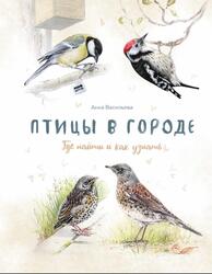 Птицы в городе, Где найти и как узнать, Васильева А., 2019