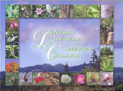 Древесные растения северного Сахалина, Атлас-определитель, Беркутенко А.Н., 2007
