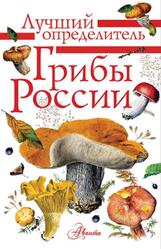 Грибы России, Определитель, Кривошеев С.В., 2021