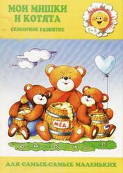 Мои мишки и котята, Сенсорное развитие, 2-4 года