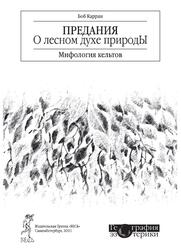 Предания о лесном духе природы, Мифология кельтов, Карран Б., 2011