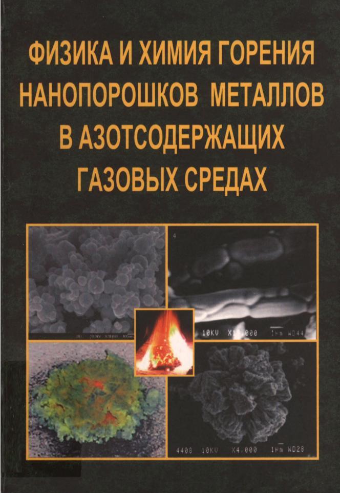 Физика и химия горения нанопорошков металлов в азотсодержащих газовых средах, Громов А.А., 2007