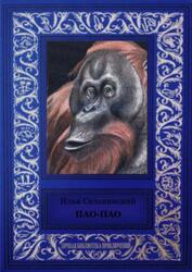 Пао-Пао, Сельвинский И.Л., 2017