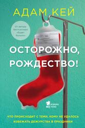 Осторожно, Рождество, Что происходит с теми, кому не удалось избежать дежурства в праздники, Кей А., 2020