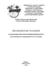 Методические указания по выполнению выпускной квалификационной работы, Зайцев В.В., Карамаев С.В., 2018