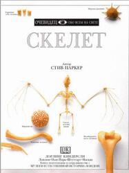 Скелет, Очевидец, Обо всём на свете, Паркер С., 1996