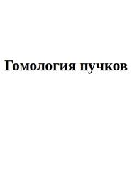 Гомология пучков