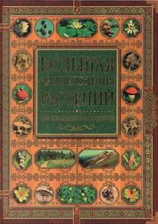 Большая энциклопедия растений, Для школьников и студентов, Асанова П.А., Бакун Е.Б.,Балобанова К.Б., 2007